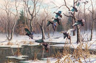 Harry Curieux Adamson (1916-2012) Wild Bounty - Black Ducks