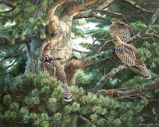 Persis Clayton Weirs (20th/21st Century) Sunlight Pine Ruffed Grouse