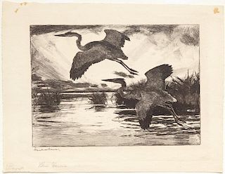 Frank W. Benson (1862-1951) Blue Herons
