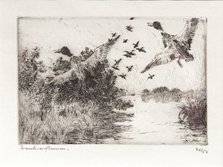 Frank W. Benson (1862-1951) Frightened Ducks