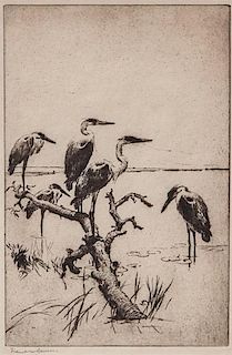 Frank W. Benson (1862-1951) Herons at Rest