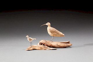 Miniature Curlew and Solitary Sandpiper by Ralph E. Stuart (1901-1965)