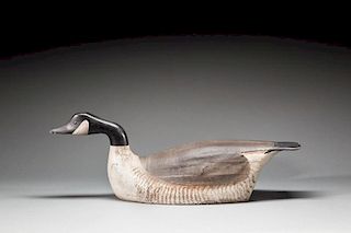 Swimming Canada Goose by George Boyd (1873-1941)