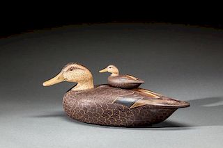 Two Black Ducks by Anthony G. Murray (1941-2005)