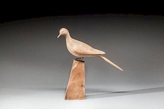 Dove by Mark S. McNair (b. 1950)