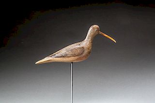 Eskimo Curlew by Mark S. McNair (b. 1950)