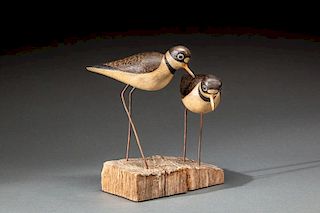 Semipalmated Plover Pair by Mark S. McNair (b. 1950)