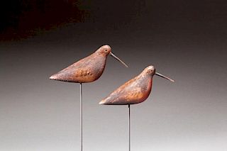 Dowitcher Pair by Mark S. McNair (b. 1950)