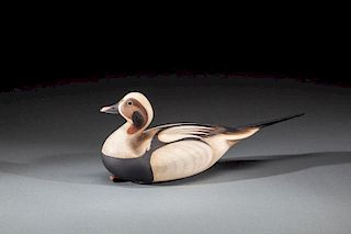 Long-Tailed Duck by William Gibian (b. 1946)