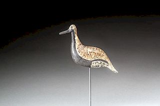 Black-Bellied Plover by Charles S. Clark (1869-1947)