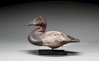 Canvasback Drake by Lee Dudley (1860-1942)