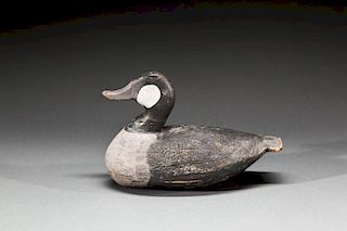Ruddy Duck by Edward "Ned" Burgess (1868-1958)