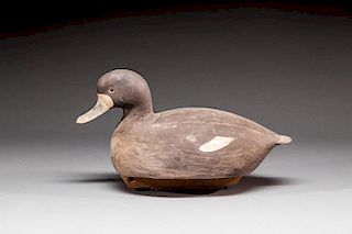 Bluebill Hen by Edson G. Gray (1891-1982)
