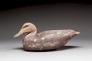 Black Duck by Dave "Umbrella" Watson (1851-1939)