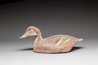 Pintail Hen by Lloyd J. Tyler (1898-1970)