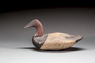 Canvasback Drake by James T. Holly (1855-1935)