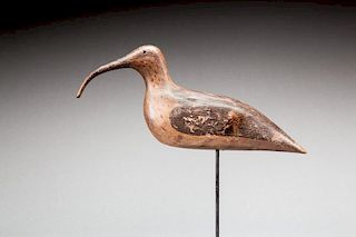 Hook-Bill Curlew by William Roberts (d. c.1910)