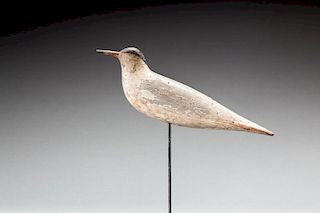 Tern by Obediah Verity (1813-1901)