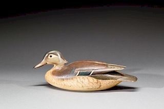 Exceedingly Rare Wood Duck Hen by Charles E. "Shang" Wheeler (1872-1949)