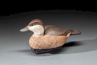 Ruddy Duck by James West (1937-2000)
