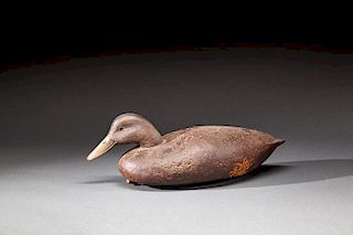 Black Duck by Charles E. "Shang" Wheeler (1872-1949)