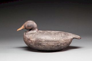 Black Duck by Cassius Smith (1847-1907)