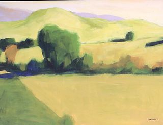 David Skinner, Oil on Canvas, Green Field