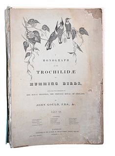 Large Folio Book Monograph of The Trochilidae Hummingbirds, J. Gould, Part XII, 1856, 13 plates, 15" x 22", (some damage).