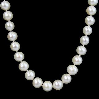 Lady's White Pearl Necklace with Diamond and 14 Karat White Gold Clasp.