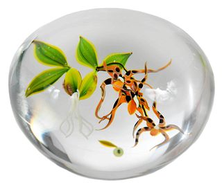 Paul J. Stankard Glass 'Spider Orchid' Paperweight