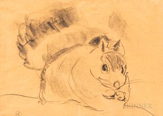 Pencil on Paper Sketch of a Squirrel