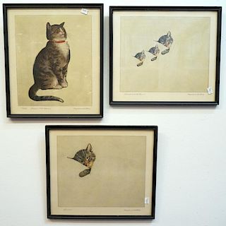 Three Framed Cat Prints