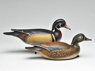 Excellent pair of wood ducks, William Gibian, Onancock, Virginia.