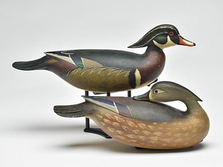 Pair of wood ducks, Bob White, Tullytown, Pennsylvania.