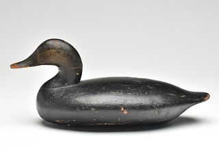 Rare oversize black duck, Leonard Pryor, Chesapeake City, Maryland, 1st quarter 20th century.