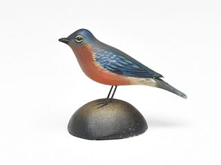 Miniature bluebird, Elmer Crowell, East Harwich, Massachusetts.