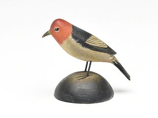 Miniature red headed woodpecker, Elmer Crowell, East Harwich, Massachusetts.