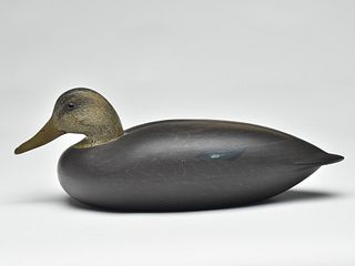 Hollow carved black duck, Charles E. "Shang" Wheeler, Stratford, Connecticut.