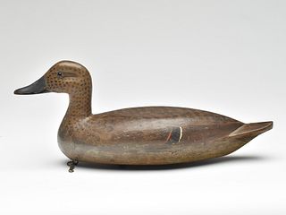 Early pintail hen, Hec Whittington, Oglesby, Illinois, 2nd quarter 20th century.