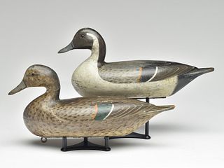 Pair of pintails, Charles Perdew, Henry, Illinois.