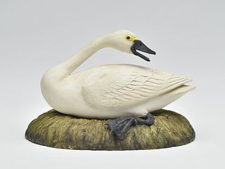 Miniature swan, Frank Finney, Cape Charles, Virginia.