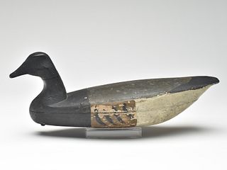 Very rare brant, Will Hall, West Mantoloking, New Jersey, circa 1925.