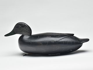 Black duck, Dan English, Florence, New Jersey, 2nd quarter 20th century.