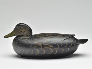 Low head black duck, Dan English, Florance, New Jersey, 1st quarter quarter 20th century.