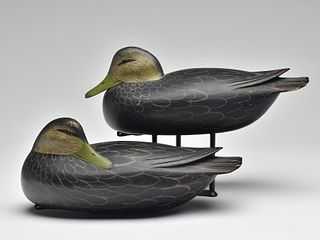 Pair of black duck, Jess Heisler, Burlington, New Jersey, 2nd quarter 20th century.