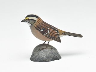 Miniature white throated sparrow, Jess Blackstone.