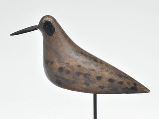 Dowitcher from the Rogers rig, Long Island, New York, last quarter 19th century.