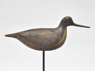 Curlew from Seaford, Long Island, last quarter 19th century.