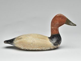Very rare and possibly unique canvasback drake, Charles Walker, Princeton, Illinois, 2nd quarter 20th century.