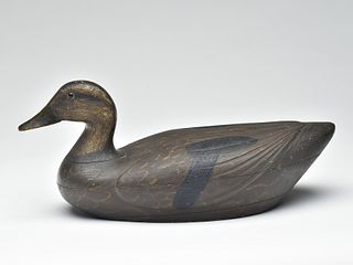 Hollow carved black duck, Ralph Smithers, Dunnville, Ontario, 2nd quarter 20th century.